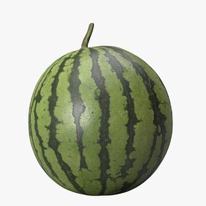 3D scan watermelon