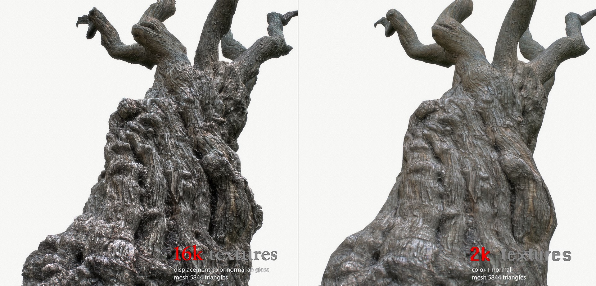 3D tree trunk 2k https://p.turbosquid.com/ts-thumb/8w/6kZhi4/ENujYQwi/realtime_tree_trunka_25_compare_/png/1541889836/1920x1080/fit_q87/1fee8eba63dba2f3dc386134d41b9309abd66957/realtime_tree_trunka_25_compare_.jpg