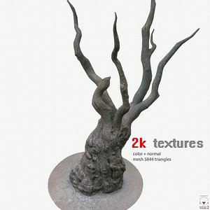 Tree Real-time Promo 2k textures