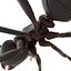 Formica nera con modello 3D in pelliccia