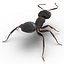 Formica nera con modello 3D in pelliccia