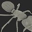 Formica nera con modello 3D in pelliccia