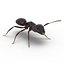Formica nera con modello 3D in pelliccia