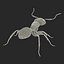 Formica nera con modello 3D in pelliccia