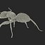 Formica nera con modello 3D in pelliccia
