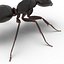 Formica nera con modello 3D in pelliccia
