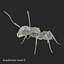 Formica nera con modello 3D in pelliccia