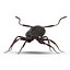 Formica nera con modello 3D in pelliccia
