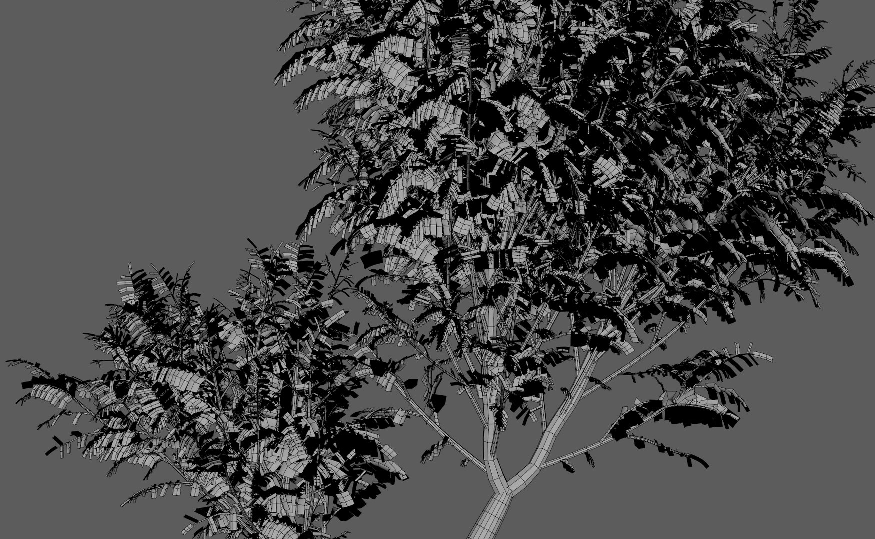 Tree Asian Asia 3D - TurboSquid 1240510