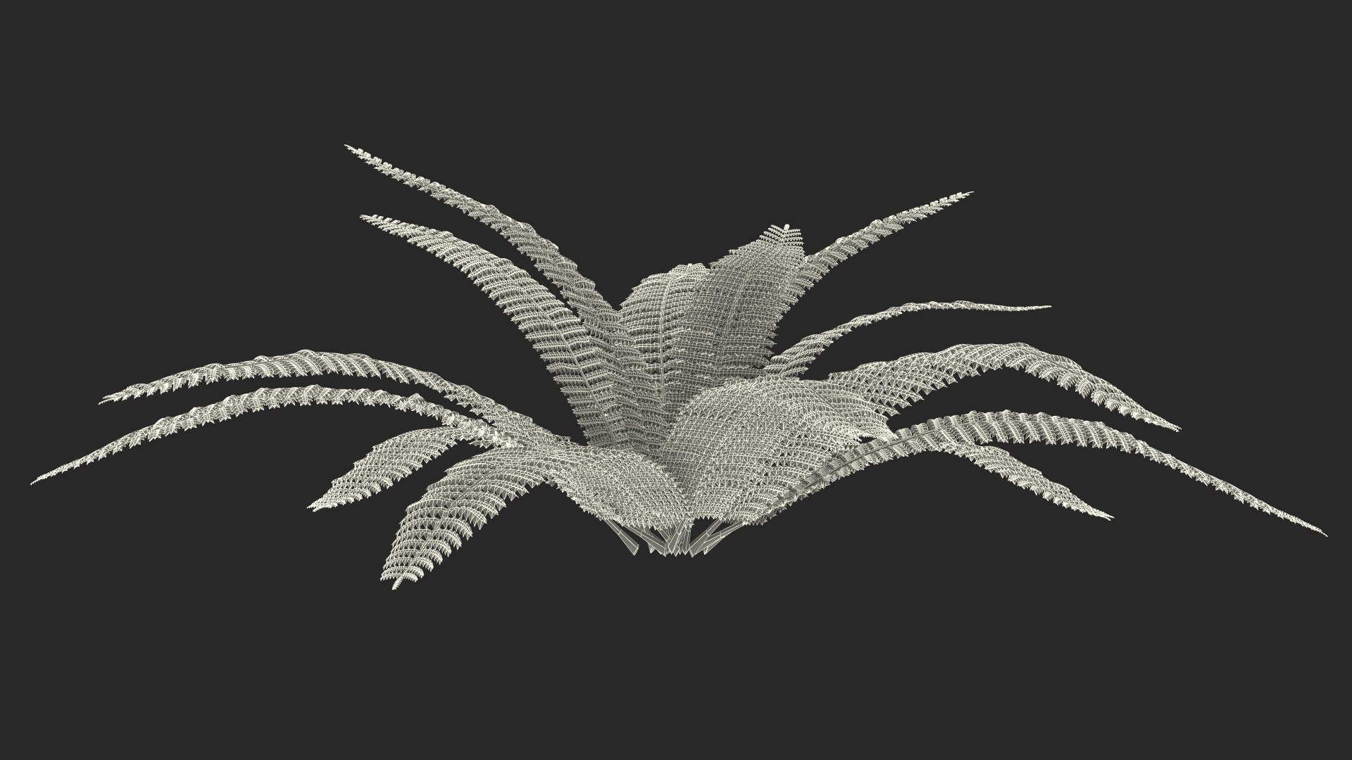 3D Model Tropical Fern Plant - TurboSquid 2238335