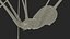 Pholcidae Fur