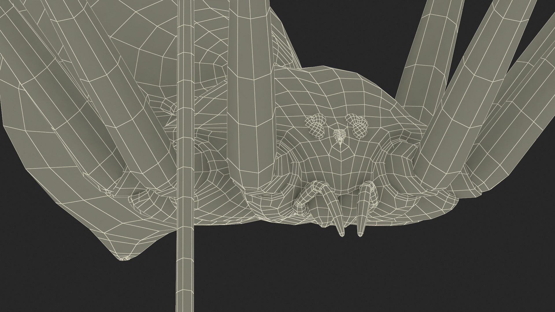 3D Pholcidae Fur https://p.turbosquid.com/ts-thumb/8w/SdlmjC/De/pholcidaefurc4dmodel030/jpg/1722425839/1920x1080/fit_q87/6306dba2b7ef885d7dbecae3fa0d3152b1cfe86a/pholcidaefurc4dmodel030.jpg