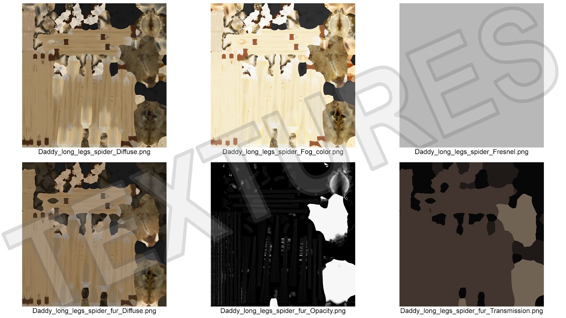 3D Pholcidae Fur https://p.turbosquid.com/ts-thumb/8w/SdlmjC/VE/pholcidaefurc4dmodel024/jpg/1722425819/1920x1080/fit_q87/3df0cd1c0bb9f6751628eac705ece3d9893d113f/pholcidaefurc4dmodel024.jpg