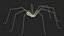 Pholcidae Fur
