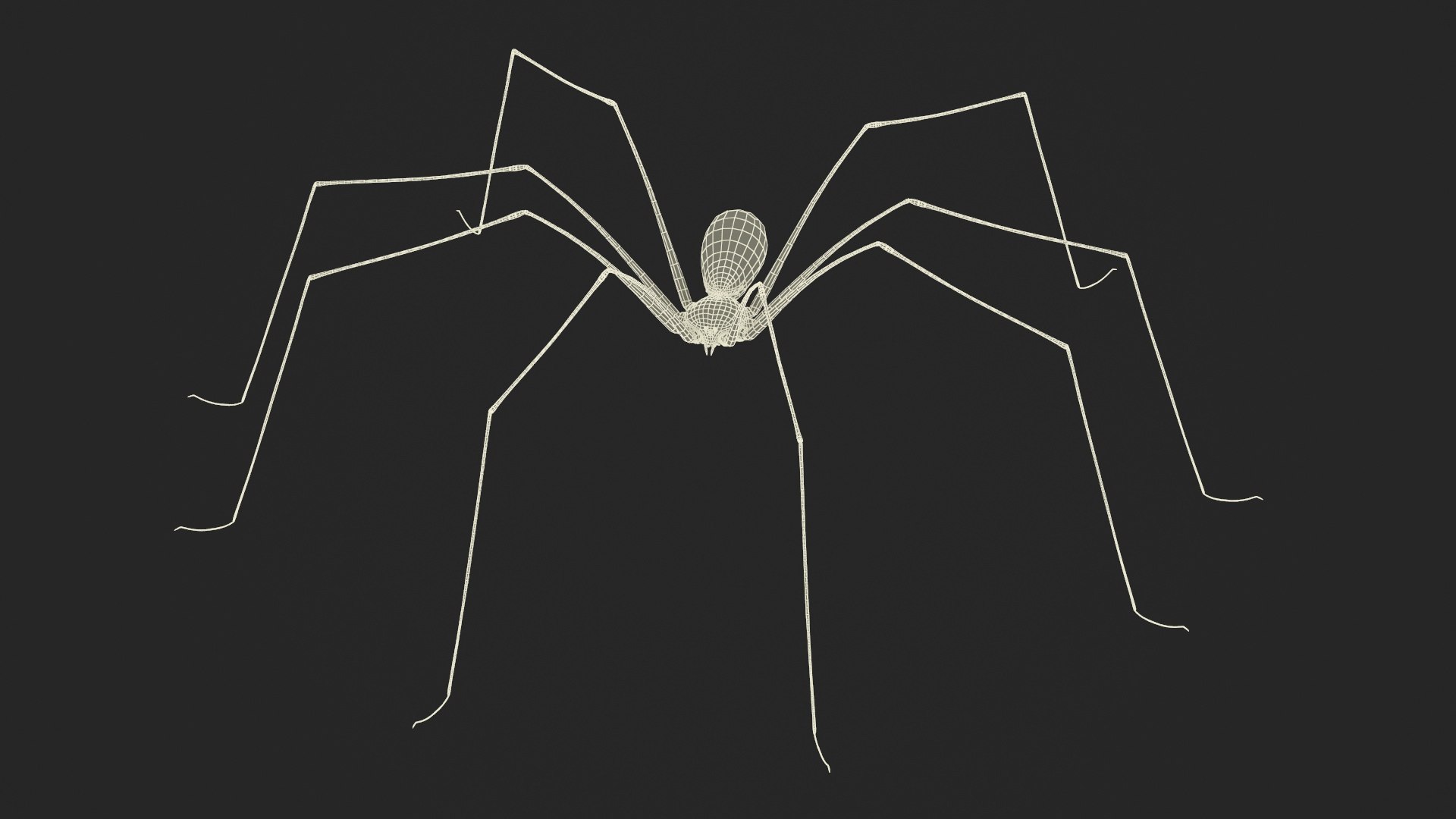 3D Pholcidae Fur https://p.turbosquid.com/ts-thumb/8w/SdlmjC/uB/pholcidaefurc4dmodel027/jpg/1722425829/1920x1080/fit_q87/373ae84471bd999a9009698bae925b575fea38fa/pholcidaefurc4dmodel027.jpg