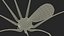 Pholcidae Fur