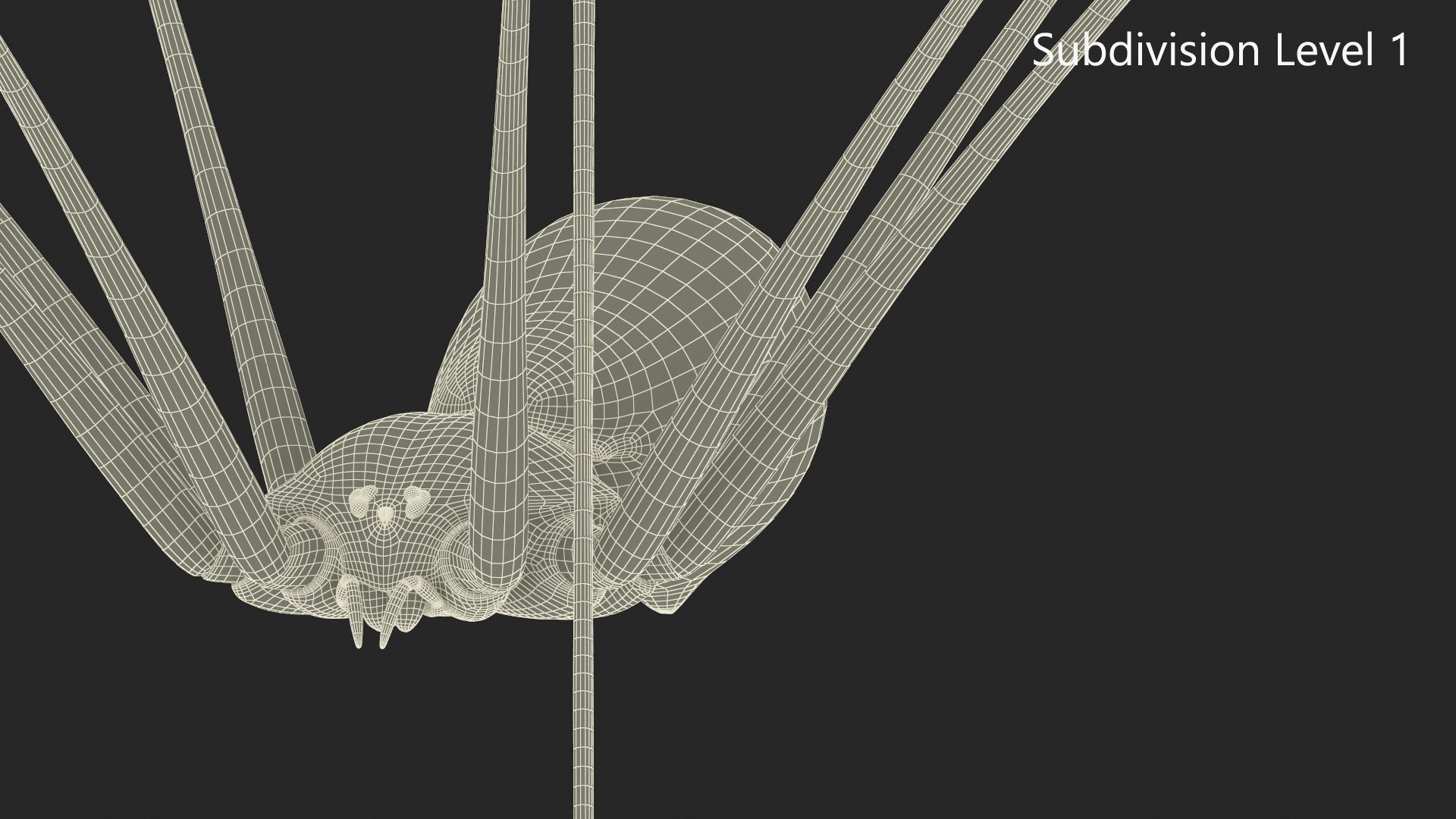 3D Pholcidae Fur https://p.turbosquid.com/ts-thumb/8w/SdlmjC/wF/pholcidaefurc4dmodel022/jpg/1722425811/1920x1080/fit_q87/a0e65fc4be7efea9ecdcb605b4ed8602354e7a5e/pholcidaefurc4dmodel022.jpg