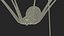 Pholcidae Fur