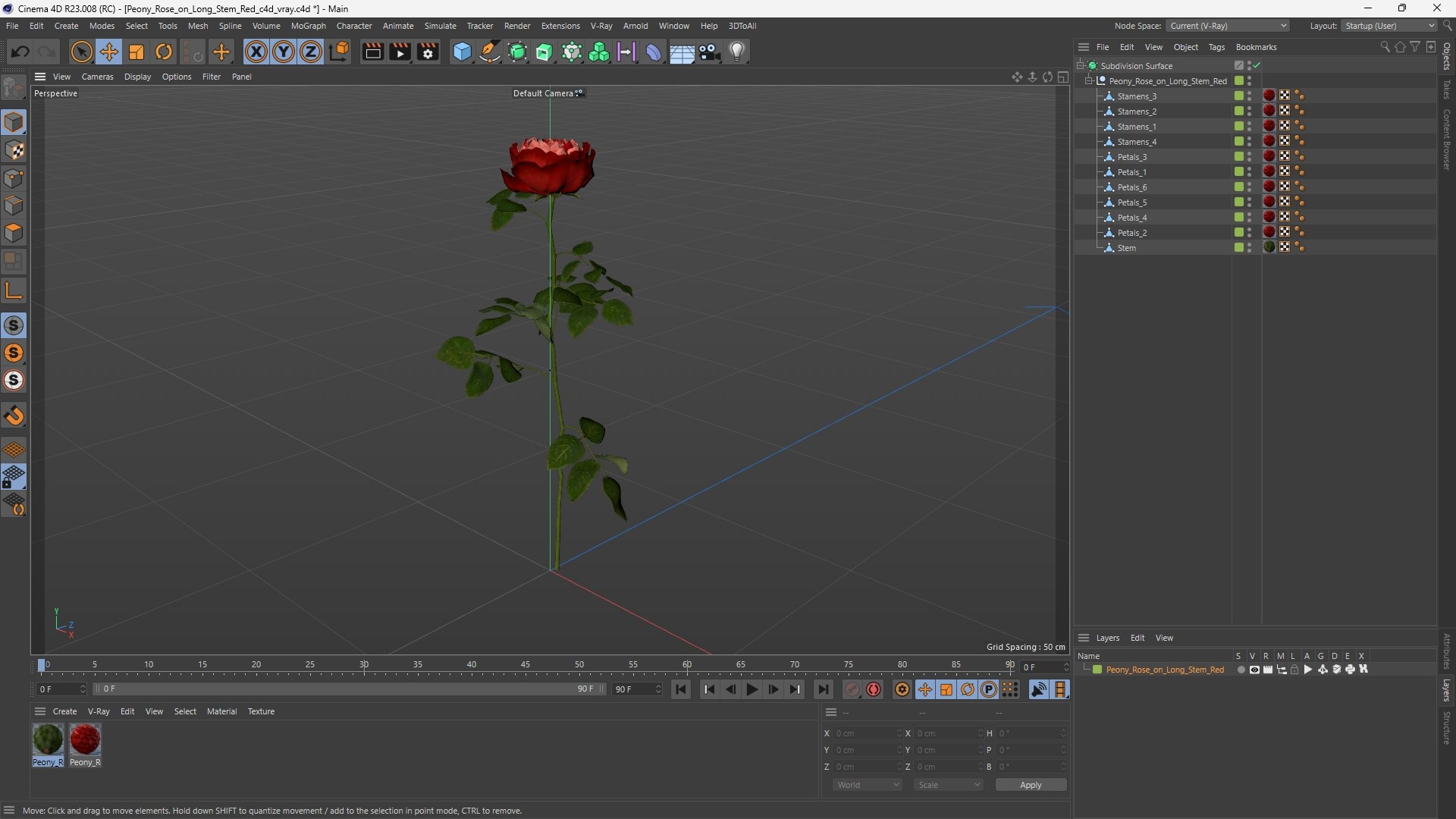 Peony Rose on Long Stem Red 3D model https://p.turbosquid.com/ts-thumb/8w/T4JZMR/0x/peony_rose_on_long_stem_red_1003/jpg/1763679574/1920x1080/fit_q87/470ed1f624f095adcc3ce66edb2f69bfd047f83c/peony_rose_on_long_stem_red_1003.jpg