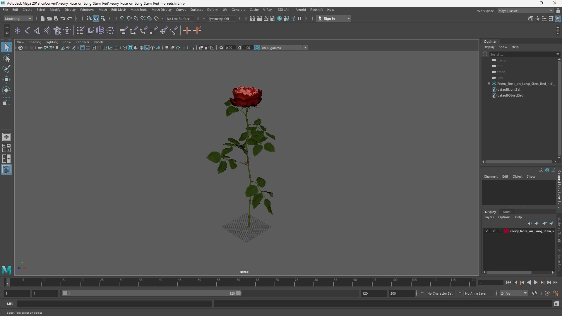 Peony Rose on Long Stem Red 3D model https://p.turbosquid.com/ts-thumb/8w/T4JZMR/88/peony_rose_on_long_stem_red_1002/jpg/1763679570/1920x1080/fit_q87/3431bd99a505ca4d9cb52b21491d68f245ed89eb/peony_rose_on_long_stem_red_1002.jpg