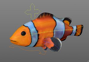 clown-fish