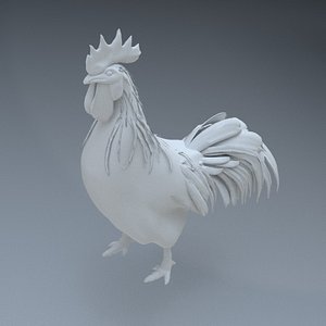 3d rooster