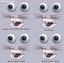 Cartoon Cat Character