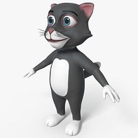 Cartoon Cat Character