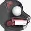 Cartoon Cat Character