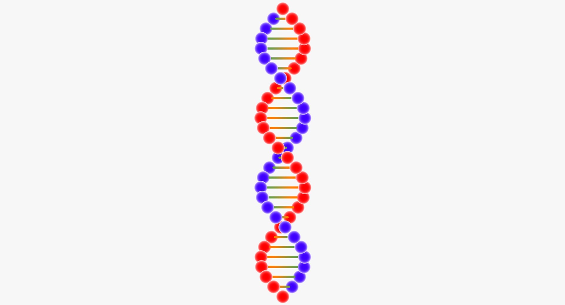 dna 3D model https://p.turbosquid.com/ts-thumb/8x/CAJBpY/NWWcshNU/dnashotmate5/png/1507245303/1920x1080/fit_q87/5d520d66f18fb66c8dc8f3a632bca1d3b729240a/dnashotmate5.jpg