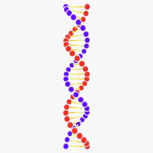 DNA