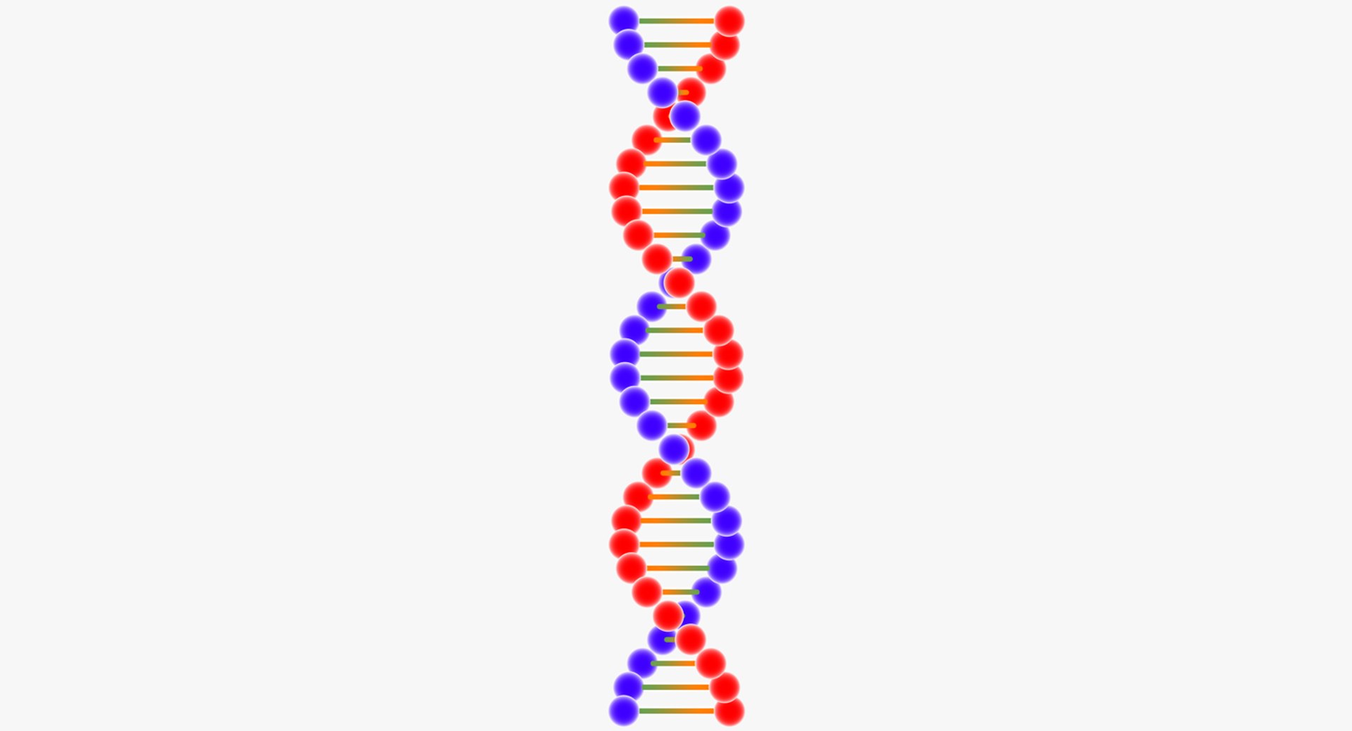 dna 3D model https://p.turbosquid.com/ts-thumb/8x/CAJBpY/ayIB6ghz/dnashotmate4/png/1507245319/1920x1080/fit_q87/08145ef4134c8fcd221c392433596fe4f79b029d/dnashotmate4.jpg