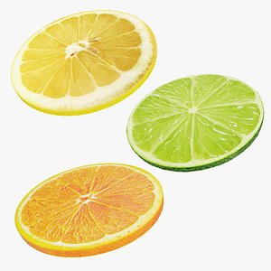 3D Citrus fruit round slice collection 2 model