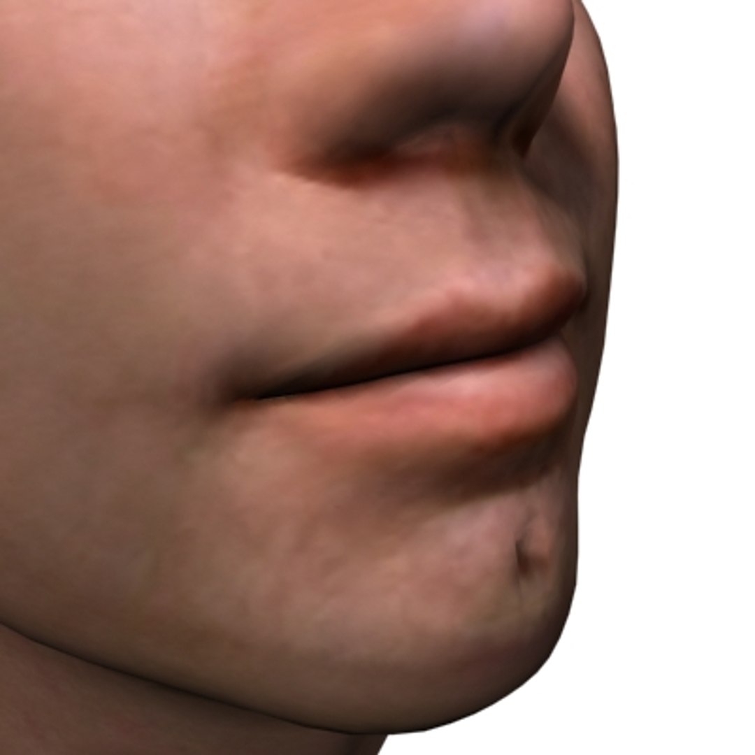 3ds max head travolta https://p.turbosquid.com/ts-thumb/8x/X4xoqE/vxKMX44H/travoltamouth/jpg/1174605747/1920x1080/fit_q87/9ac91a4f5b022959c822aea13b4589134119a822/travoltamouth.jpg