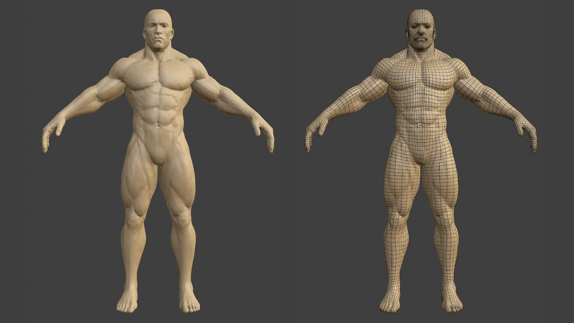 3d Model Muscular Male Body