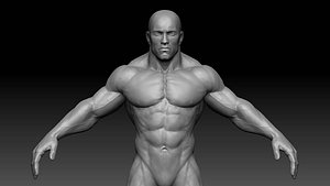3d model muscular male body