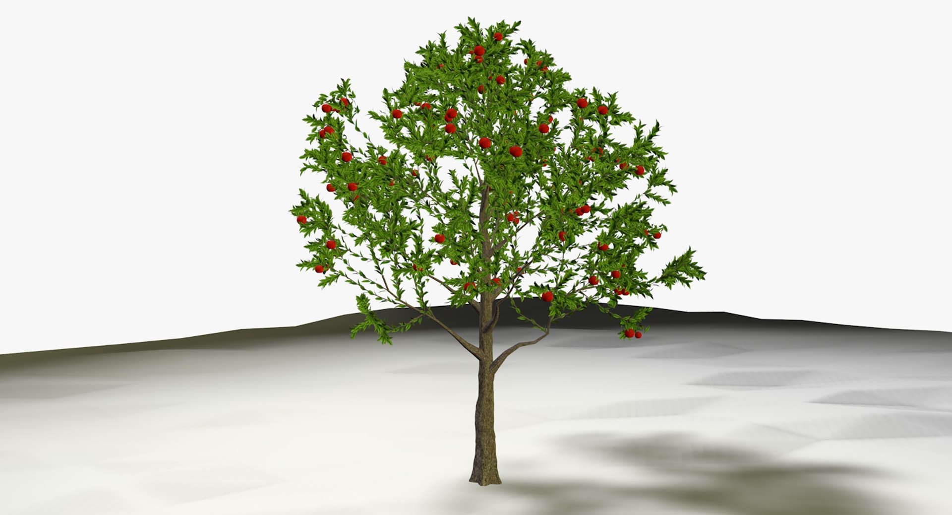 Apple Tree 3ds