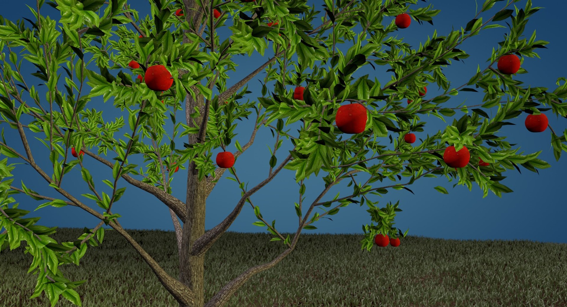 Apple Tree 3ds