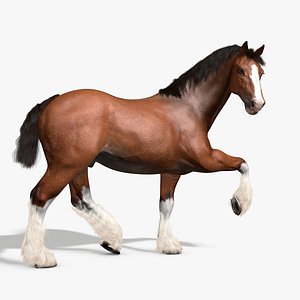 Rigged and Animated Horse V2 Clydesdale