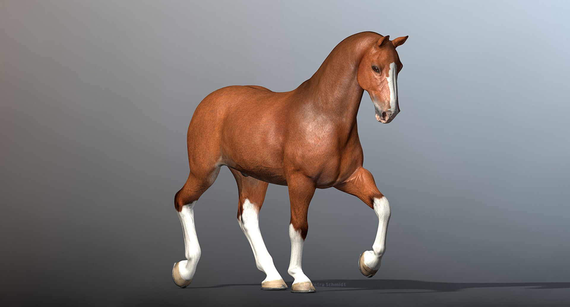 3d rigged animations clydesdales horse model https://p.turbosquid.com/ts-thumb/8x/lo9Q5X/NJA0BMkt/clydesdalewithouthair/jpg/1440005285/1920x1080/fit_q87/039c660616956ec3a5f95d9c985e4ffe76abaa89/clydesdalewithouthair.jpg