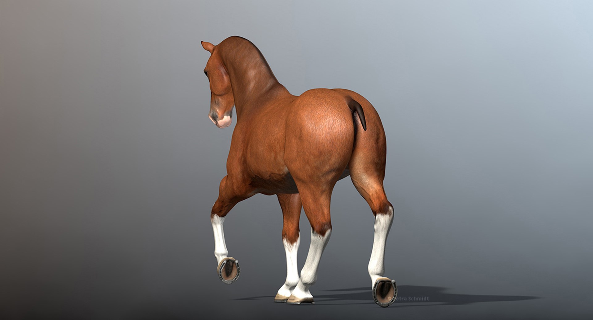 3d rigged animations clydesdales horse model https://p.turbosquid.com/ts-thumb/8x/lo9Q5X/NLoXSRnD/clydesdalewithouthair2/jpg/1440005285/1920x1080/fit_q87/8d1a57a812fd6e681d096f213f7eec59be238784/clydesdalewithouthair2.jpg