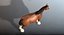 Cavallo truccato e animato (V2) Clydesdale