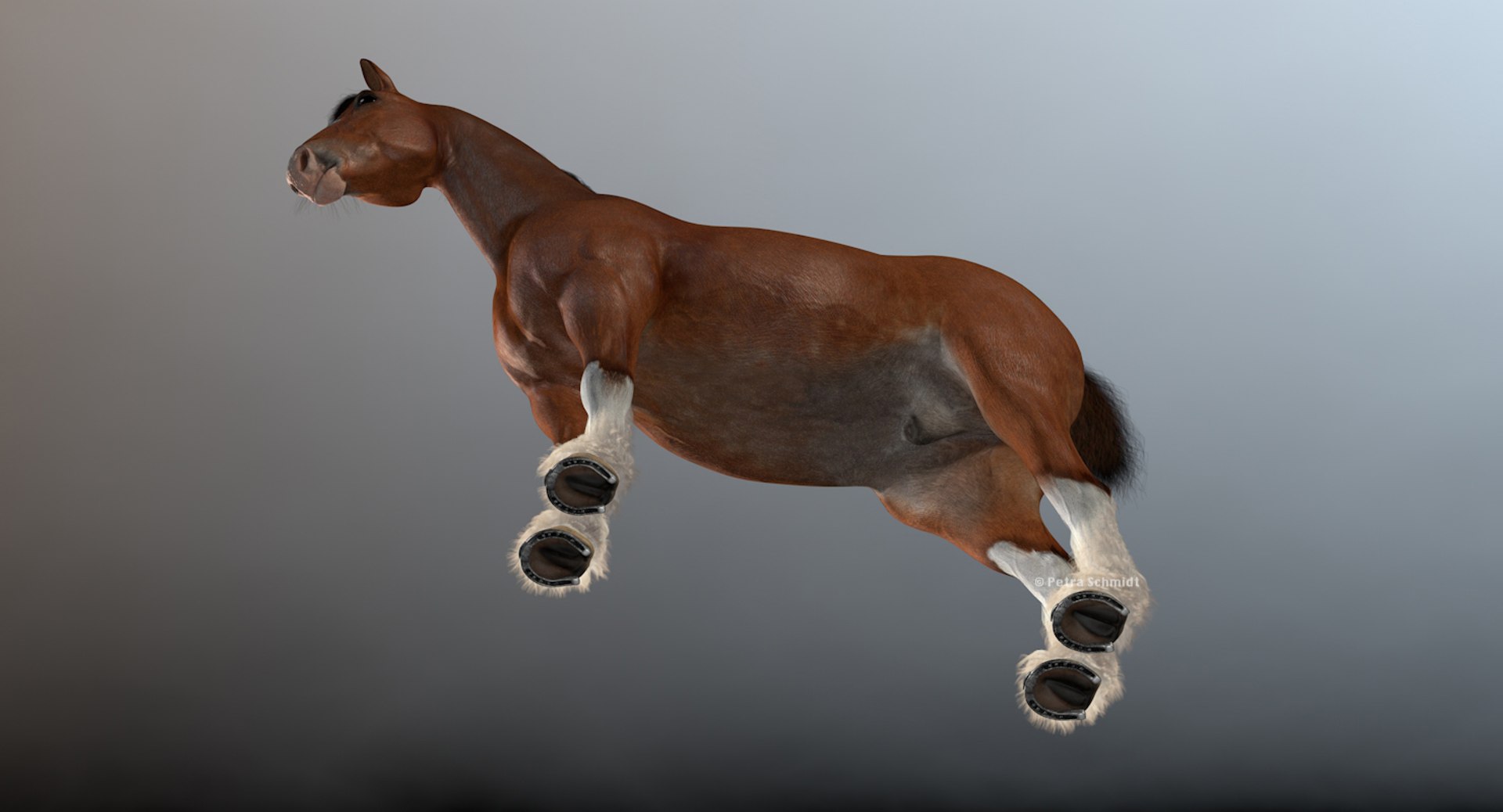 3d rigged animations clydesdales horse model https://p.turbosquid.com/ts-thumb/8x/lo9Q5X/SybNimqB/clydesdalebottom/jpg/1440005244/1920x1080/fit_q87/d1535052cca61adb3dbdd37a28db55af06220dec/clydesdalebottom.jpg