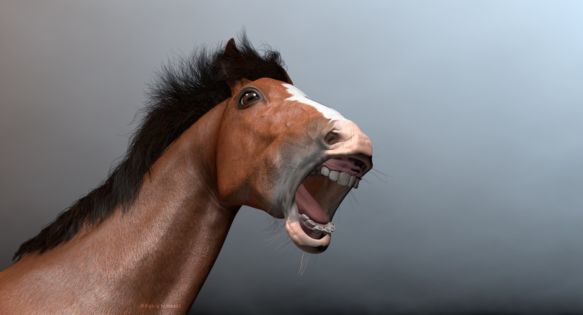 3d rigged animations clydesdales horse model https://p.turbosquid.com/ts-thumb/8x/lo9Q5X/q87DB42K/thumbclymouthcu/jpg/1440005285/1920x1080/fit_q87/3b17c9e17dee9f08dcff4104b22d719d9da1c7e5/thumbclymouthcu.jpg