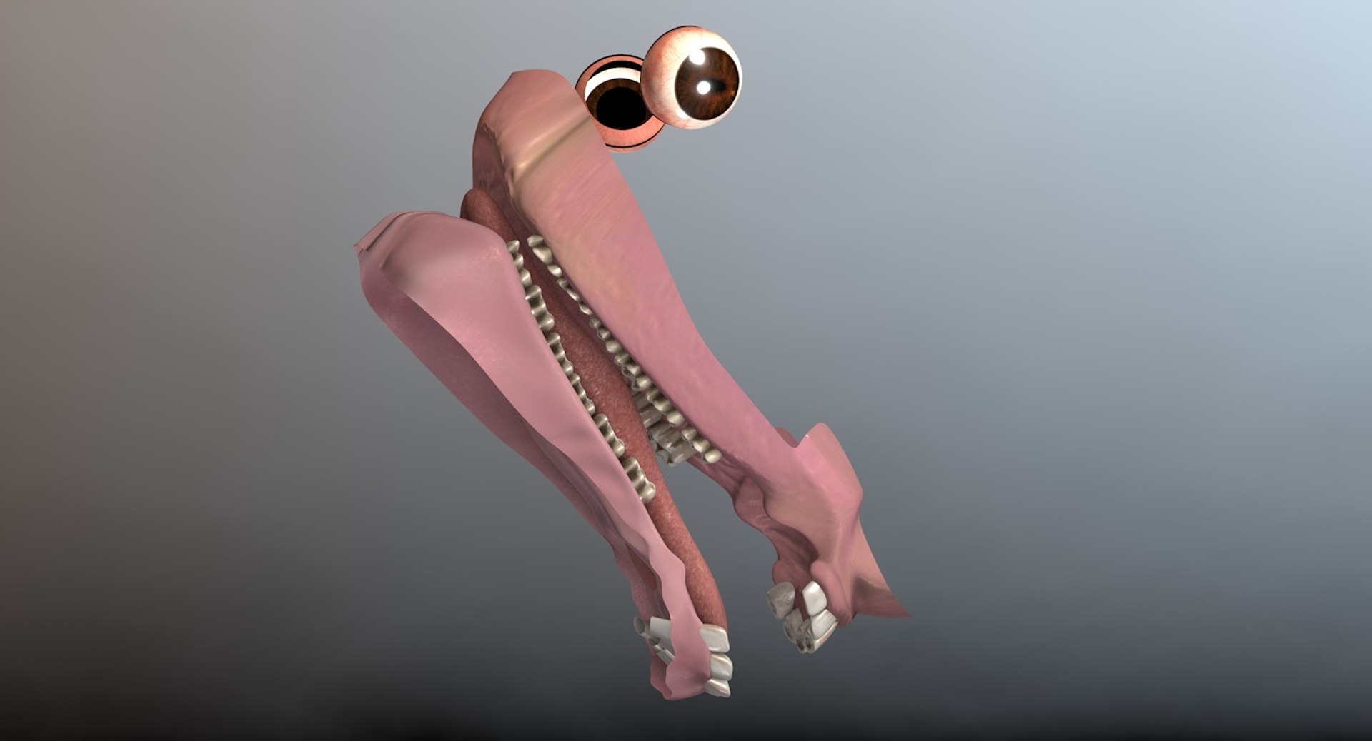 3d rigged animations clydesdales horse model https://p.turbosquid.com/ts-thumb/8x/lo9Q5X/v6CUpHQ1/clydesdalemouth/jpg/1439646863/1920x1080/fit_q87/760fc8f2e331512a9bd633c745c7f2e02e65b27a/clydesdalemouth.jpg
