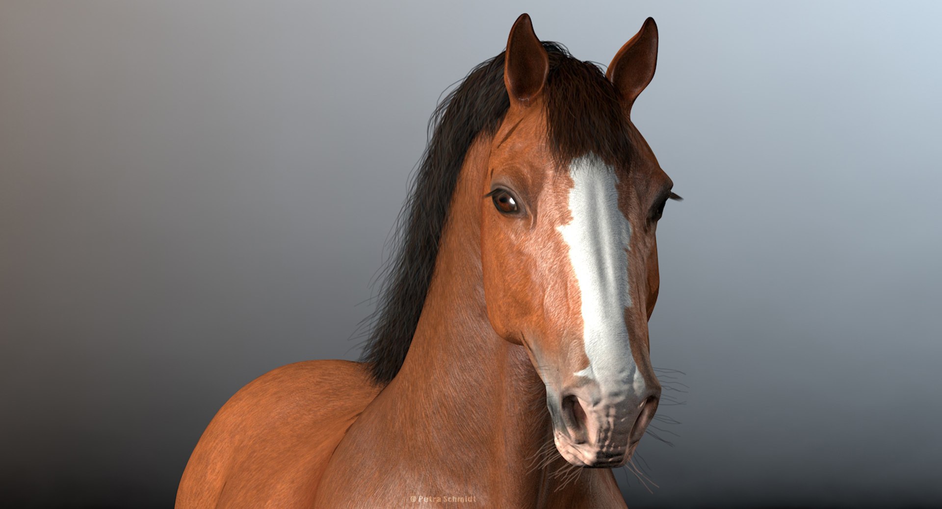 3d rigged animations clydesdales horse model https://p.turbosquid.com/ts-thumb/8x/lo9Q5X/wukUoEdo/clydesdalehead/jpg/1440005244/1920x1080/fit_q87/3abed776038c2f7d40ae0d1df19f098254f28570/clydesdalehead.jpg