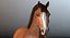 Cavallo truccato e animato (V2) Clydesdale
