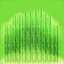 Planta aquática de água doce Vallisneria Spiralis