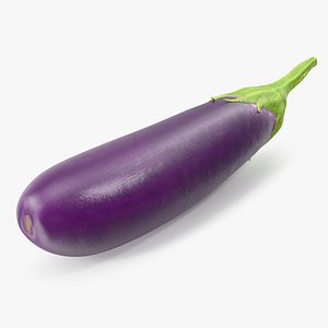 Japanese Purple Eggplant 3D model