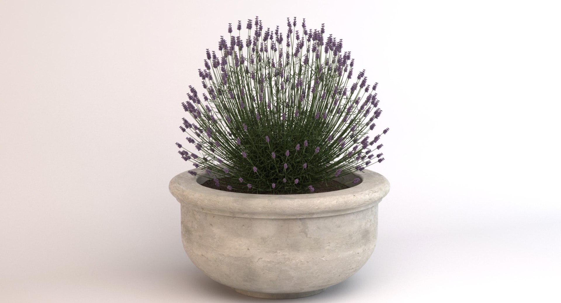 3d model decorative pot plant